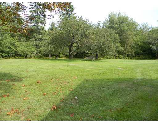 140 Mines Road Blue Hill, ME 04614 - Photo 21 of 25 Yard/Garden.