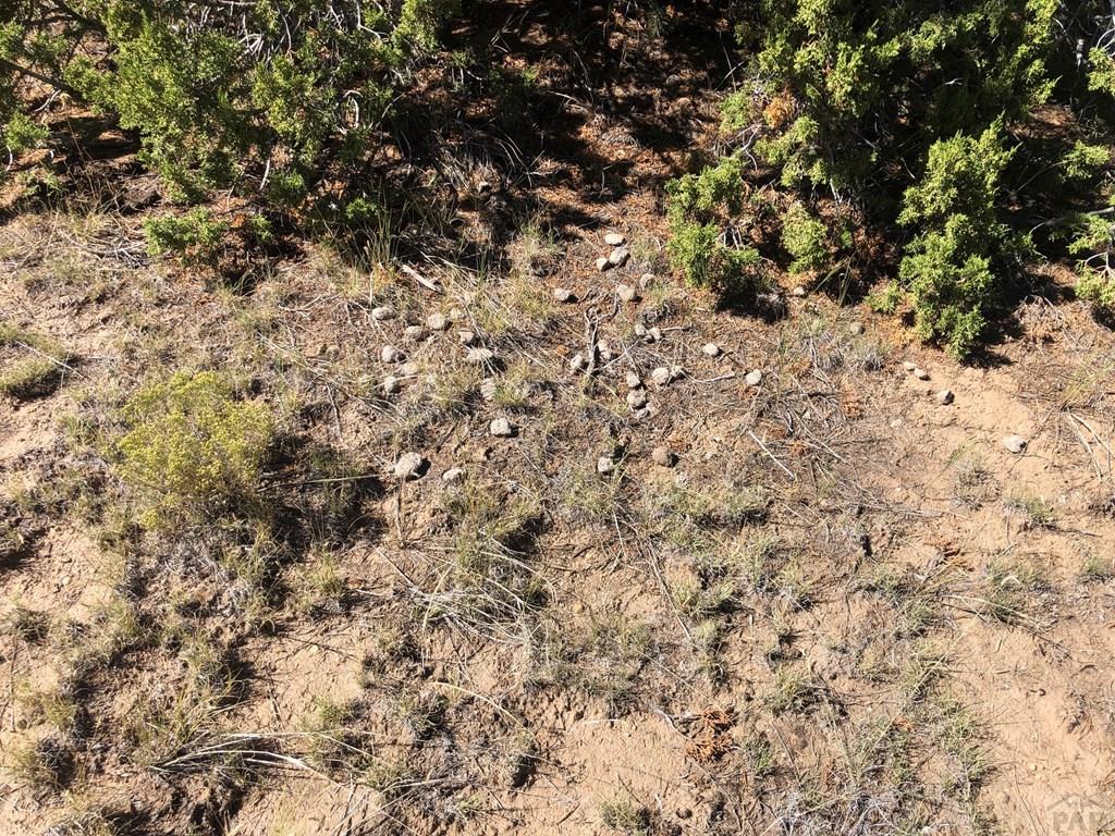 Lot 64 River Ridge Trail La Veta, CO 81055 - Photo 27 of 29