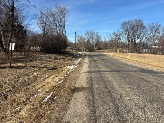 a view of yard with trees