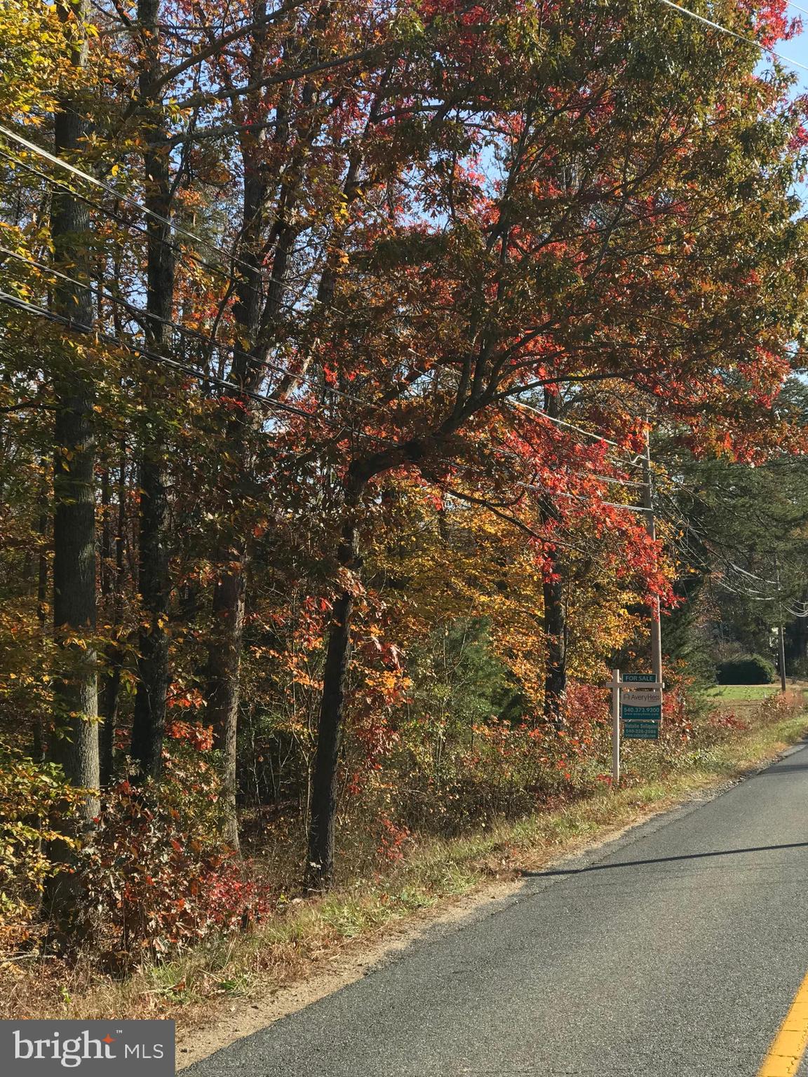 670 Truslow Road Fredericksburg, VA 22406 - Photo 1 of 3 670 Truslow Rd 3.17 acres