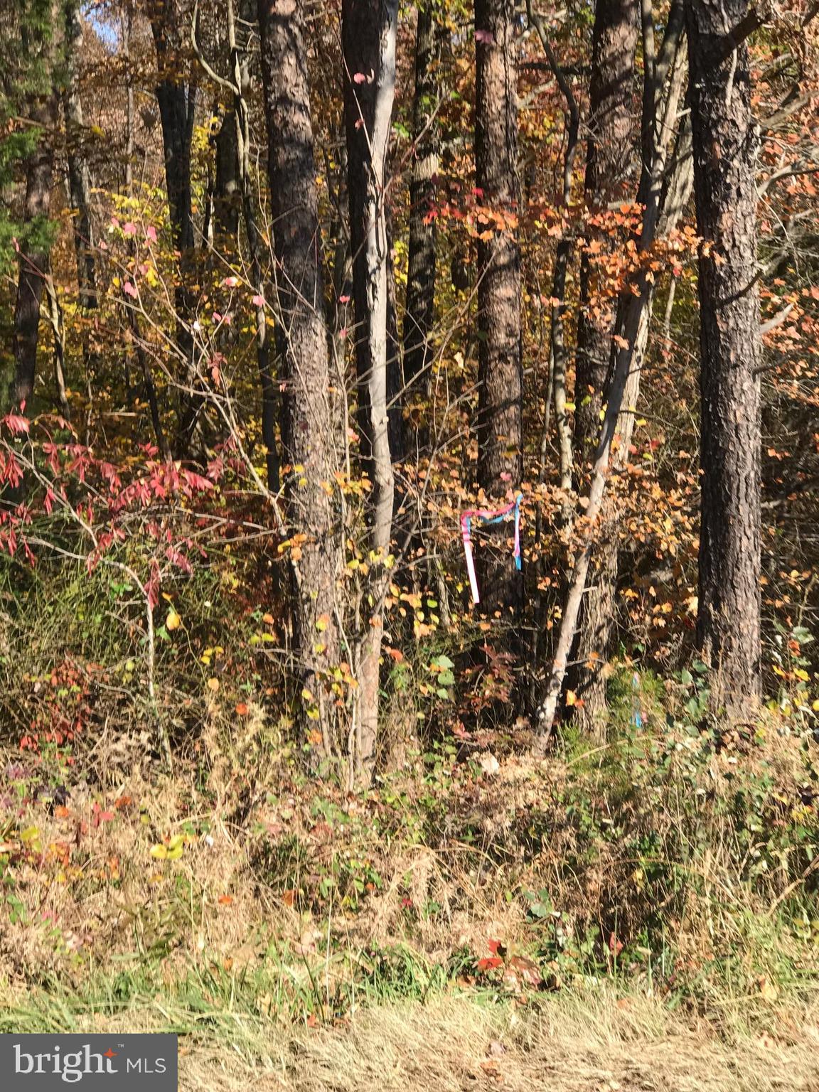 670 Truslow Road Fredericksburg, VA 22406 - Photo 2 of 3 670 Truslow Rd view from Truslow Rd