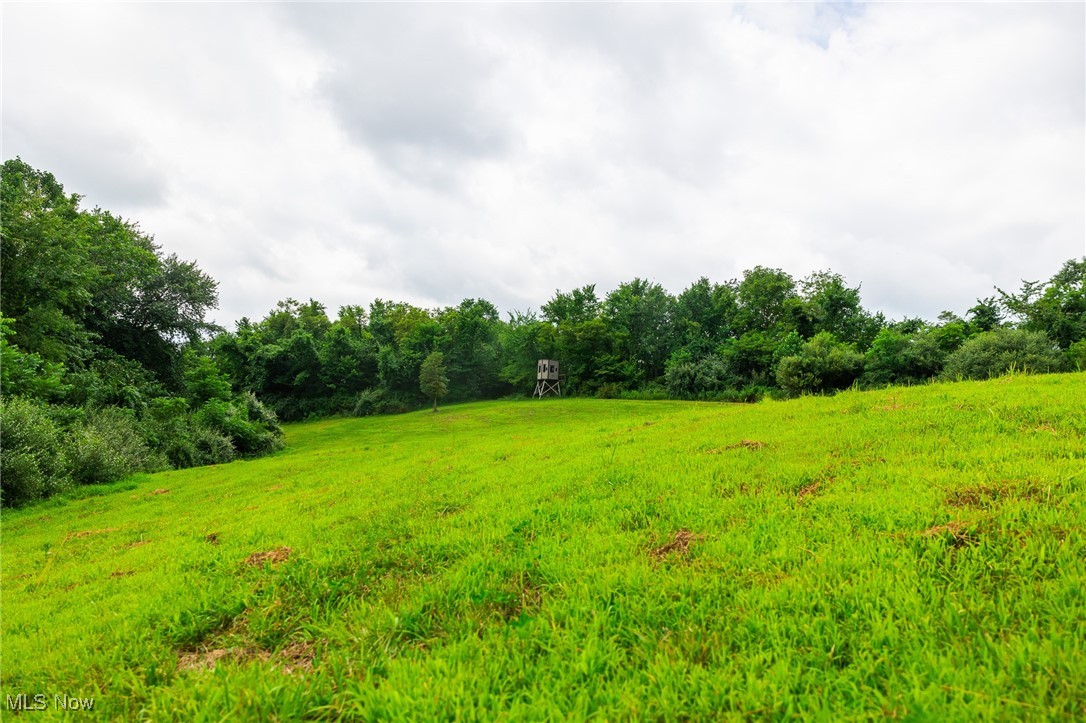 Harrons Ridge Road Dexter City, OH 45727 - Photo 4 of 50 View of yard with a forest view