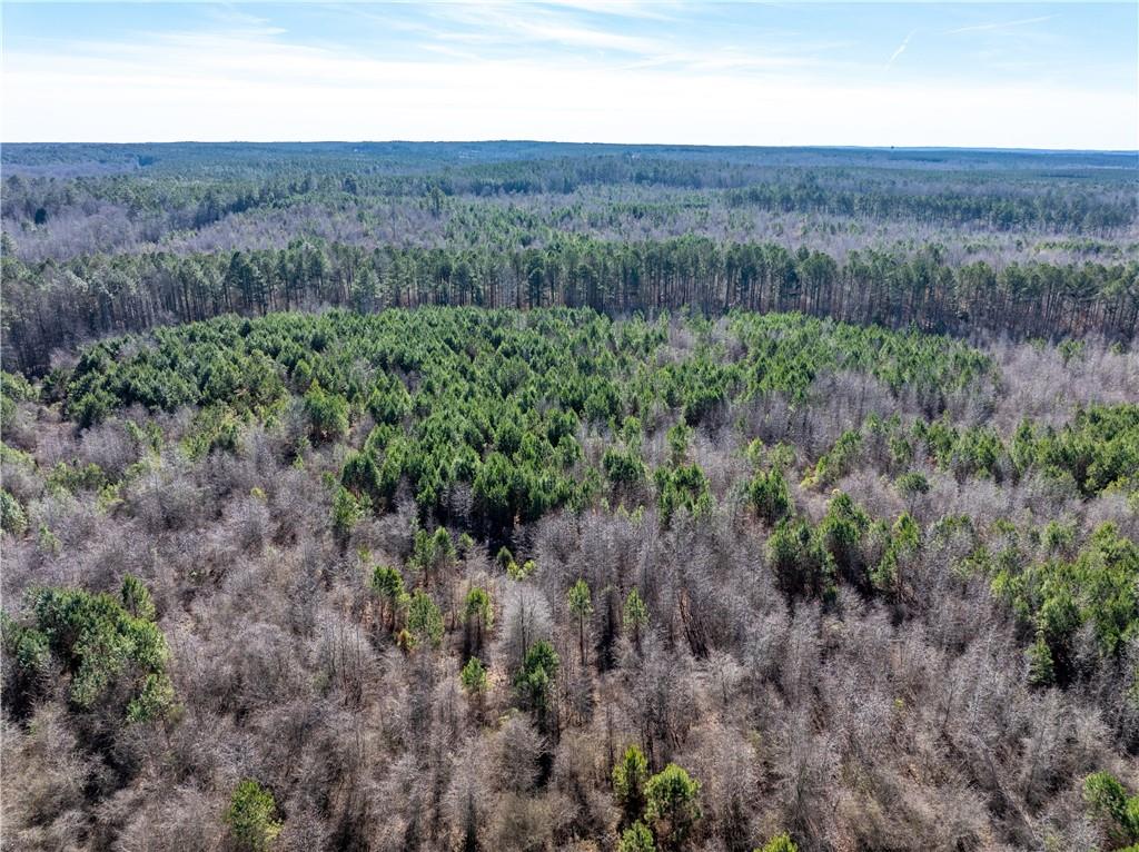 2071 Leslie Mill Road Greensboro, GA 30642 - Photo 11 of 32