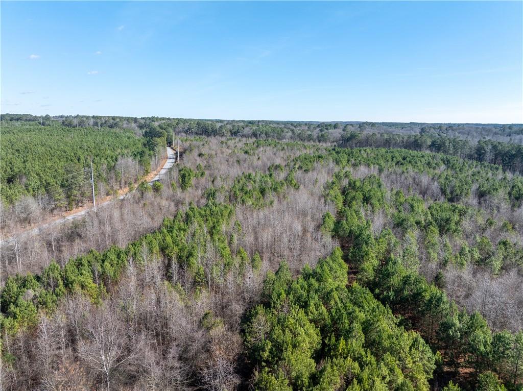 2071 Leslie Mill Road Greensboro, GA 30642 - Photo 12 of 32