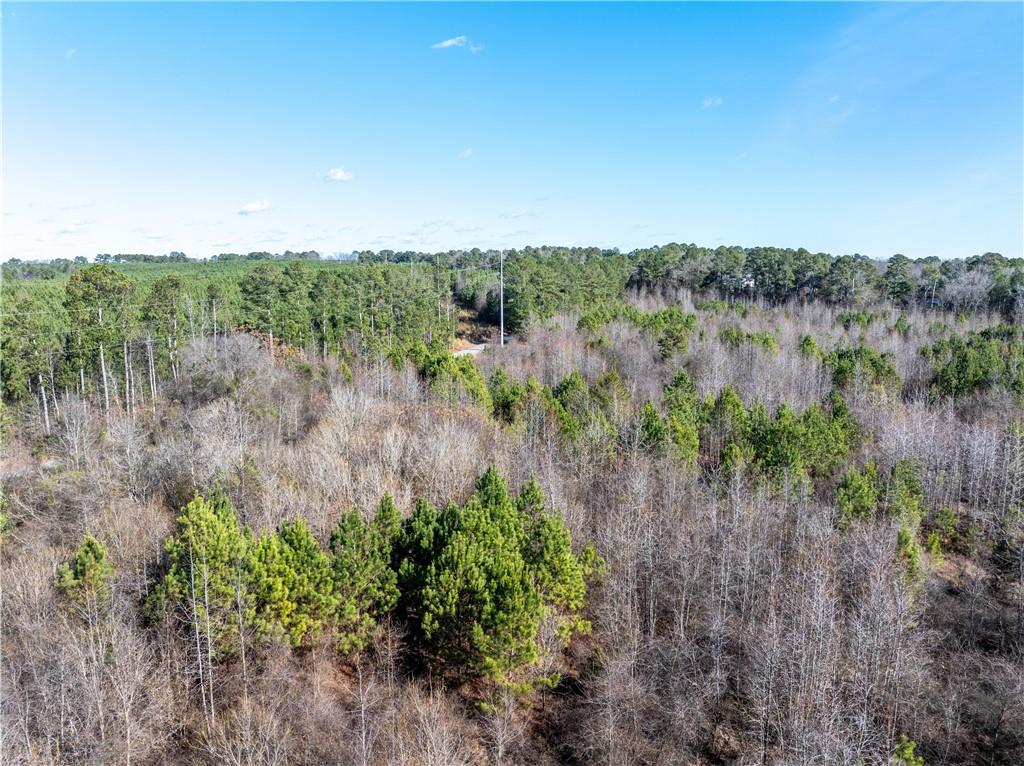 2071 Leslie Mill Road Greensboro, GA 30642 - Photo 13 of 32