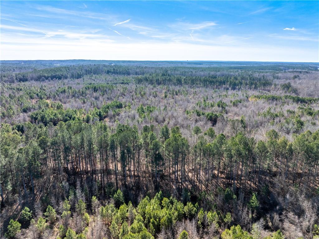 2071 Leslie Mill Road Greensboro, GA 30642 - Photo 16 of 32