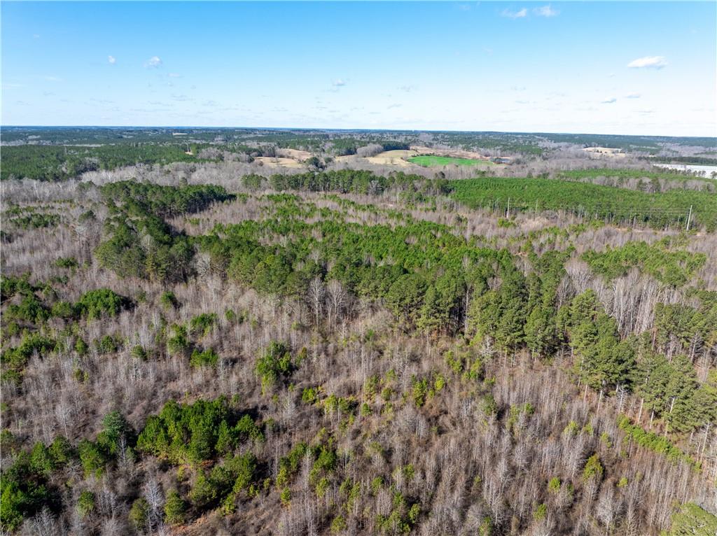 2071 Leslie Mill Road Greensboro, GA 30642 - Photo 17 of 32