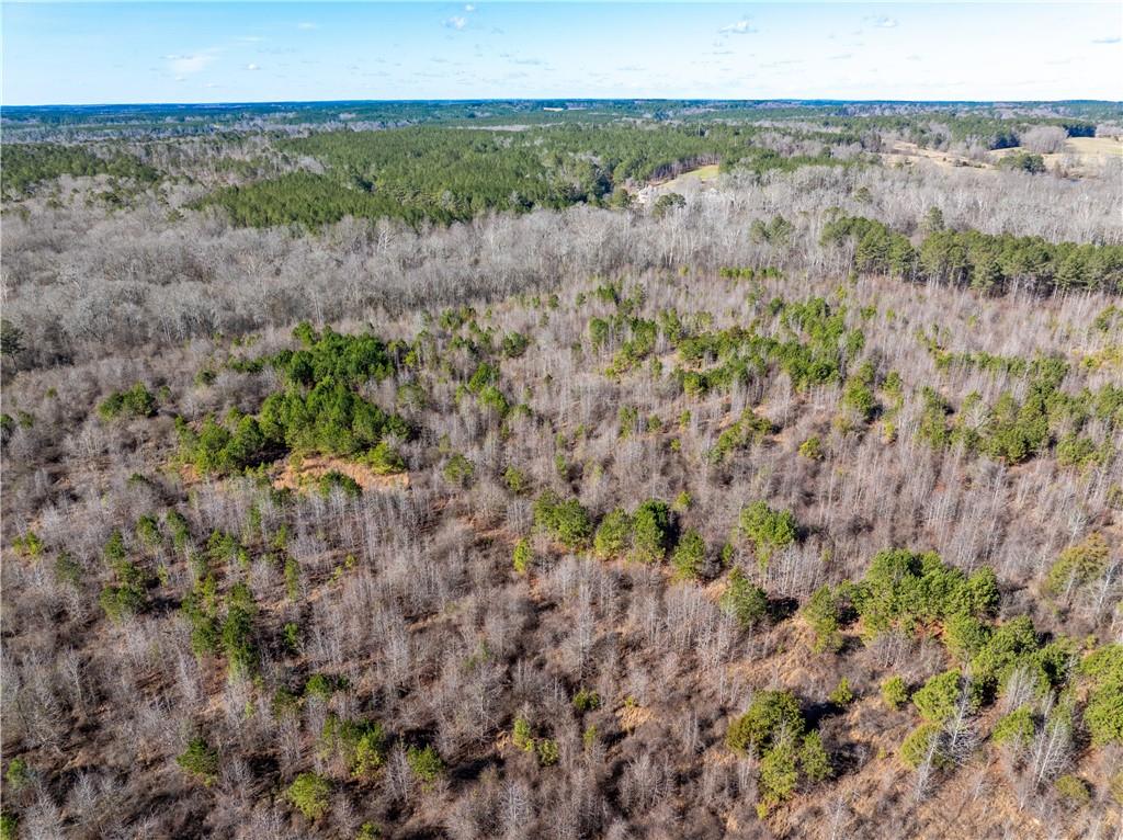 2071 Leslie Mill Road Greensboro, GA 30642 - Photo 19 of 32