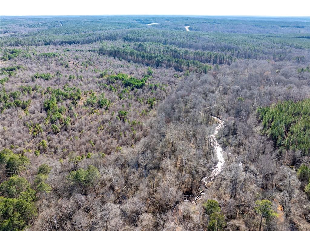 2071 Leslie Mill Road Greensboro, GA 30642 - Photo 20 of 32