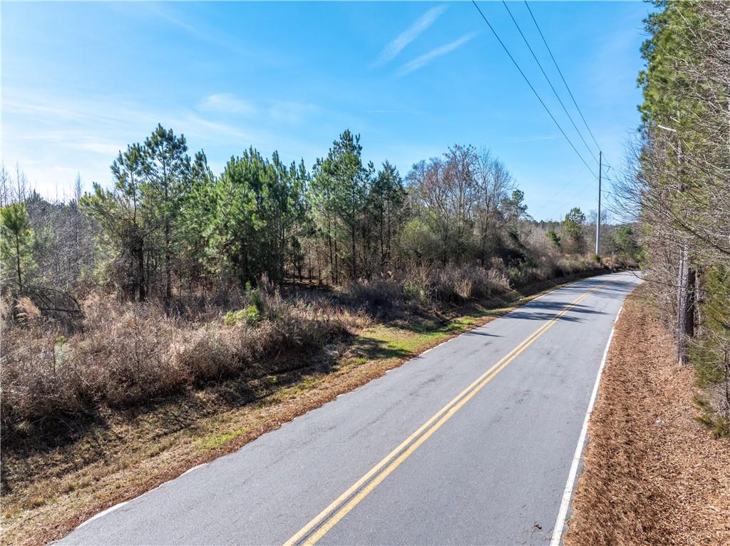 2071 Leslie Mill Road Greensboro, GA 30642 - Photo 2 of 32