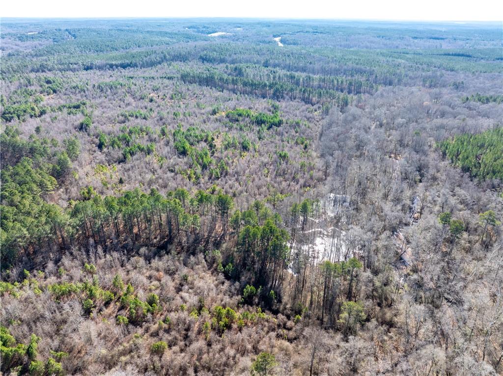 2071 Leslie Mill Road Greensboro, GA 30642 - Photo 21 of 32