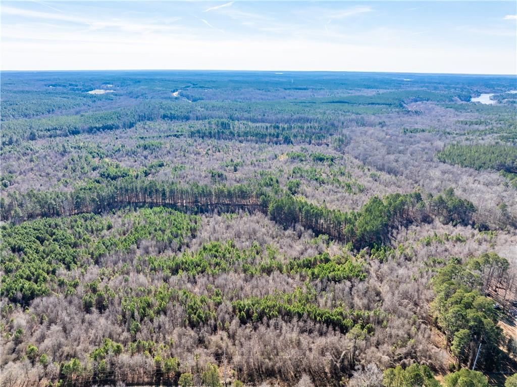 2071 Leslie Mill Road Greensboro, GA 30642 - Photo 22 of 32