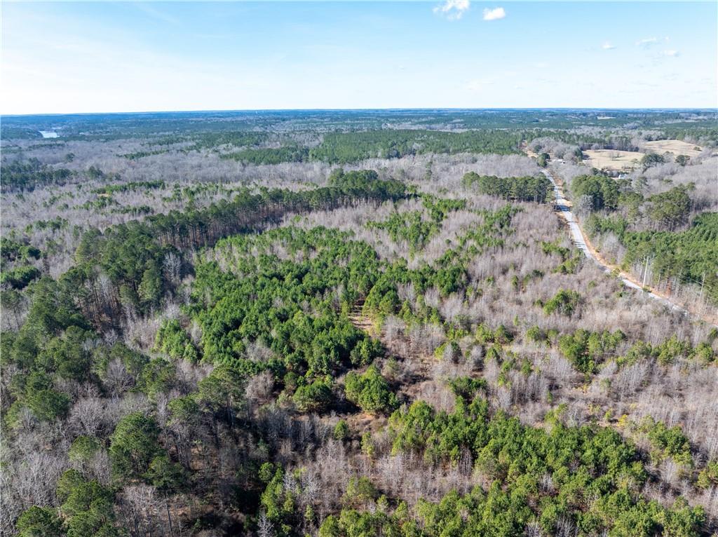 2071 Leslie Mill Road Greensboro, GA 30642 - Photo 23 of 32