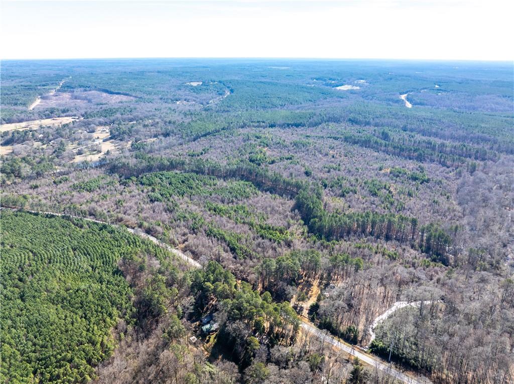 2071 Leslie Mill Road Greensboro, GA 30642 - Photo 24 of 32