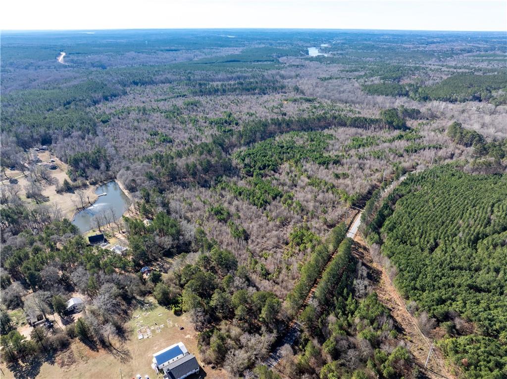 2071 Leslie Mill Road Greensboro, GA 30642 - Photo 25 of 32