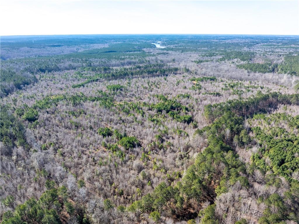 2071 Leslie Mill Road Greensboro, GA 30642 - Photo 26 of 32