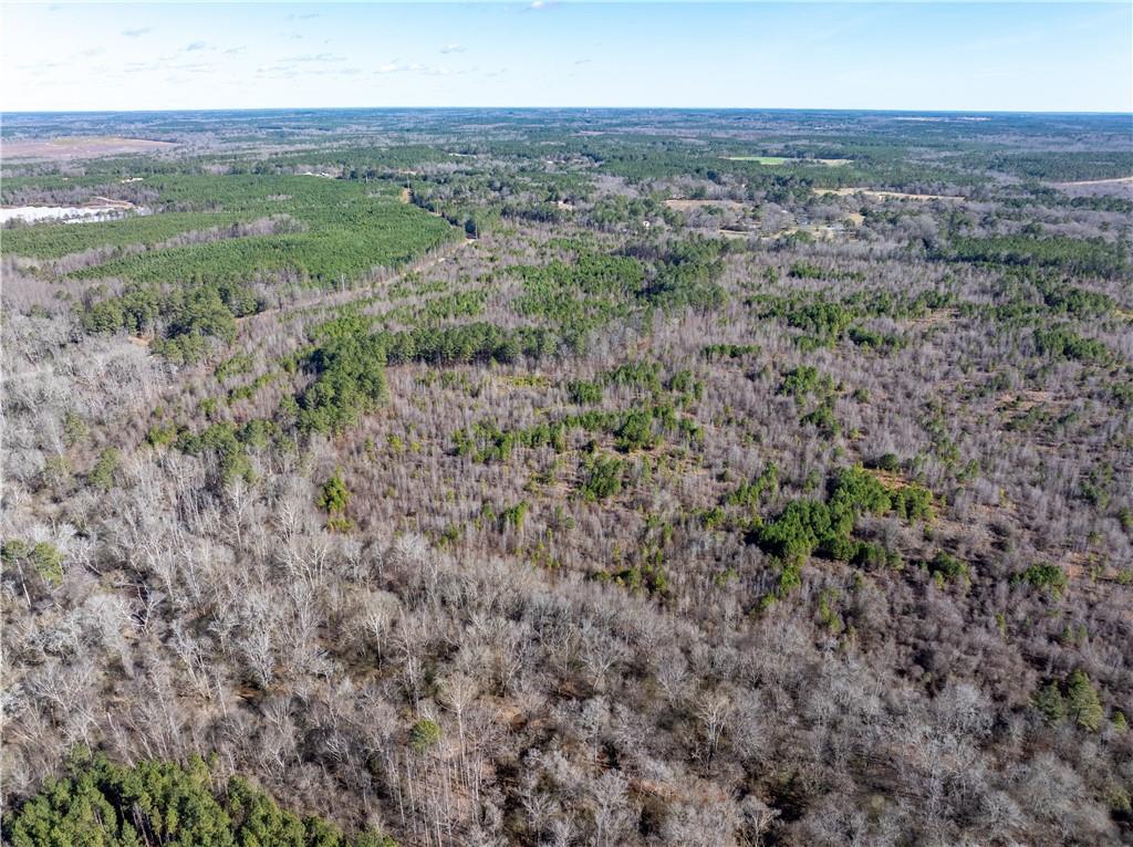 2071 Leslie Mill Road Greensboro, GA 30642 - Photo 28 of 32