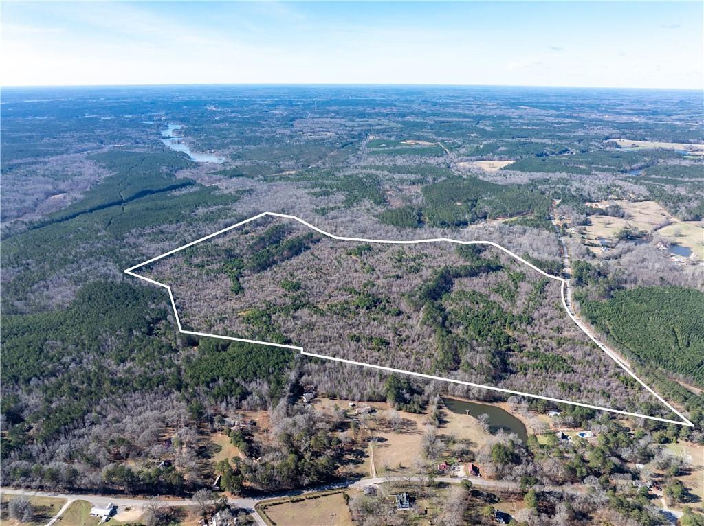 2071 Leslie Mill Road Greensboro, GA 30642 - Photo 30 of 32