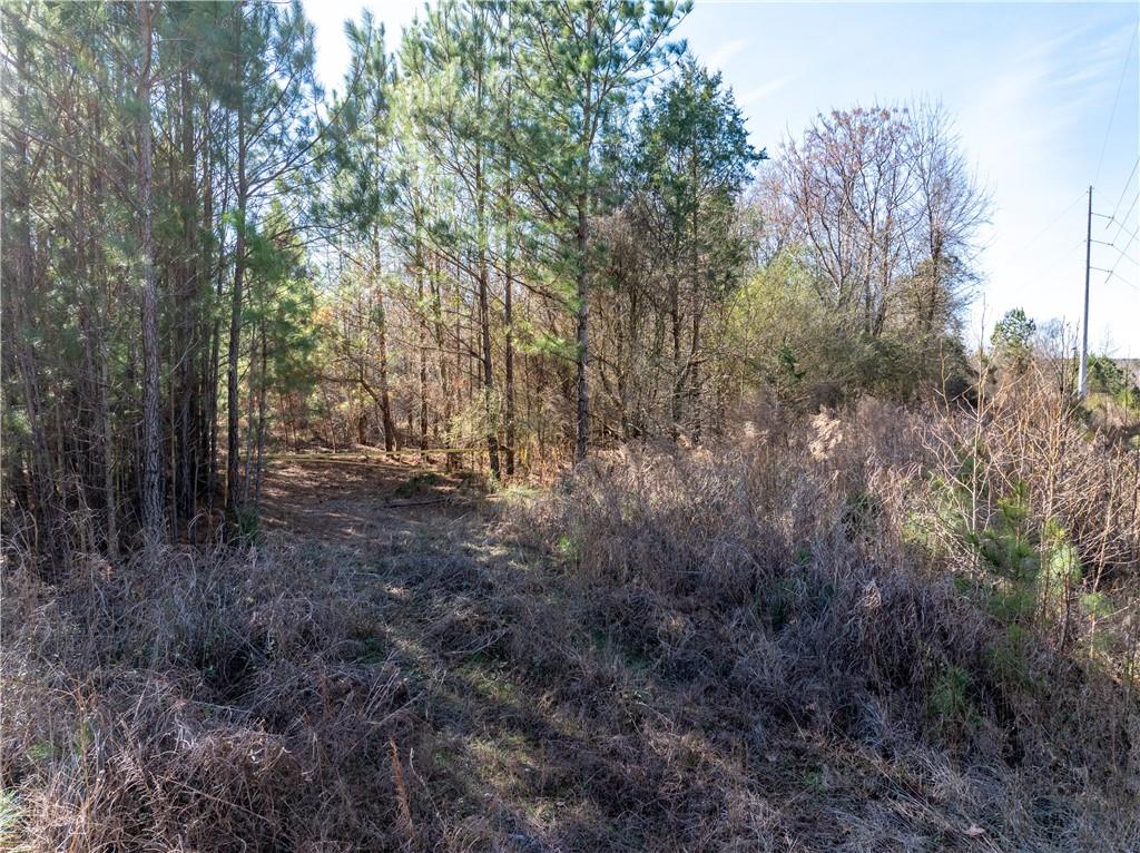 2071 Leslie Mill Road Greensboro, GA 30642 - Photo 3 of 32