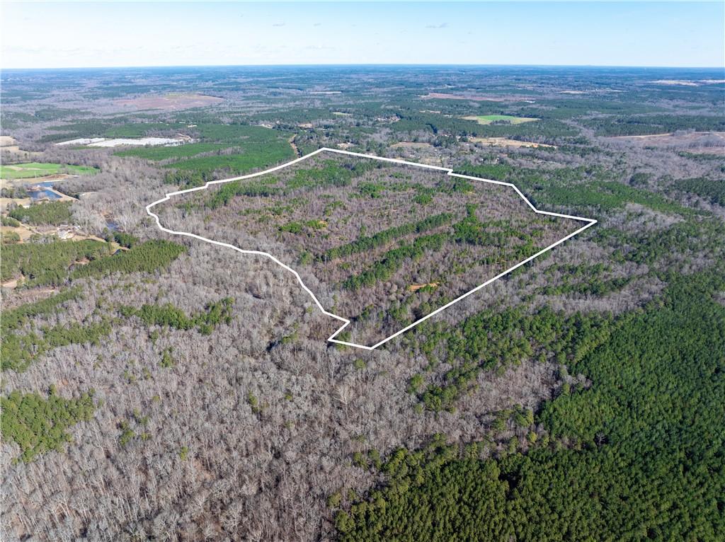 2071 Leslie Mill Road Greensboro, GA 30642 - Photo 32 of 32