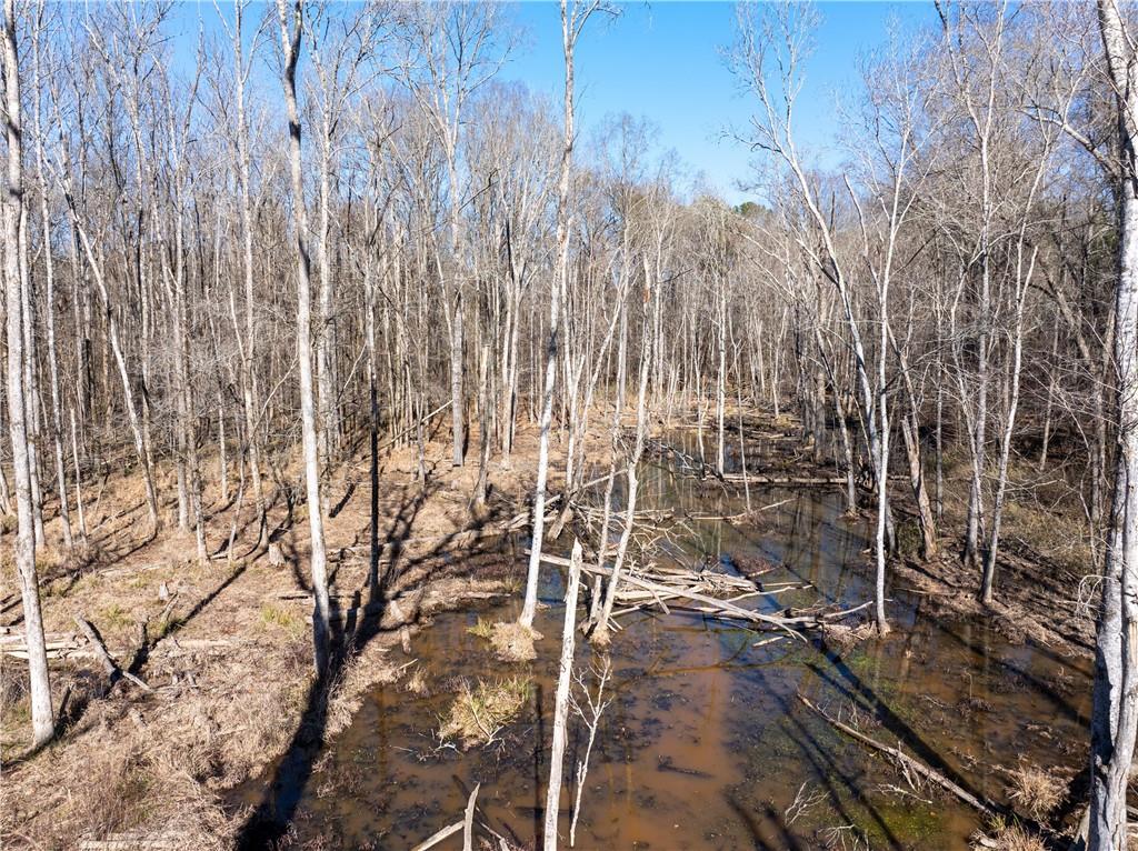 2071 Leslie Mill Road Greensboro, GA 30642 - Photo 5 of 32