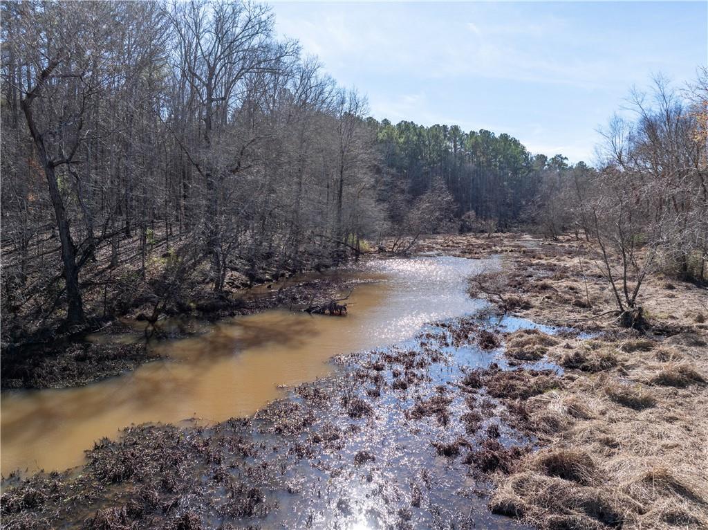2071 Leslie Mill Road Greensboro, GA 30642 - Photo 6 of 32