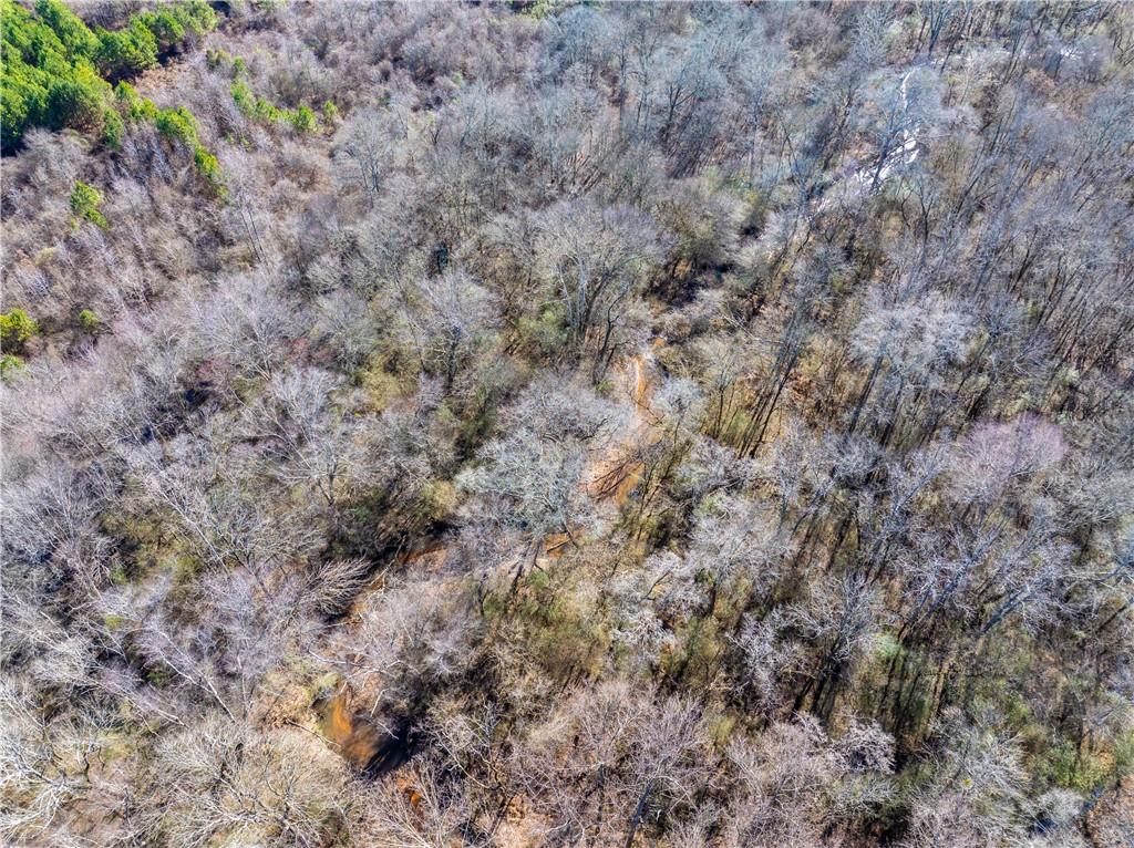 2071 Leslie Mill Road Greensboro, GA 30642 - Photo 7 of 32