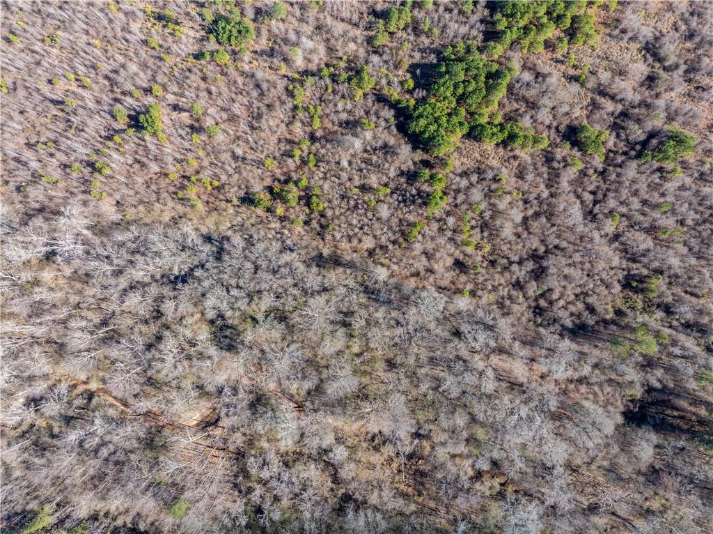 2071 Leslie Mill Road Greensboro, GA 30642 - Photo 8 of 32