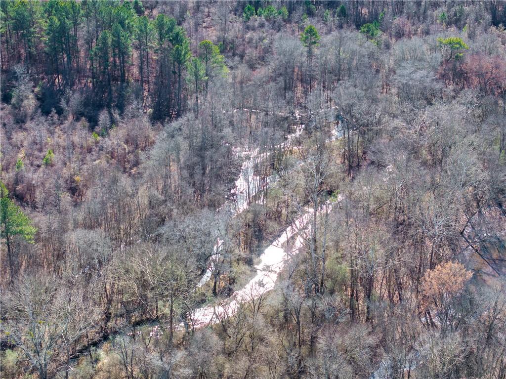 2071 Leslie Mill Road Greensboro, GA 30642 - Photo 9 of 32