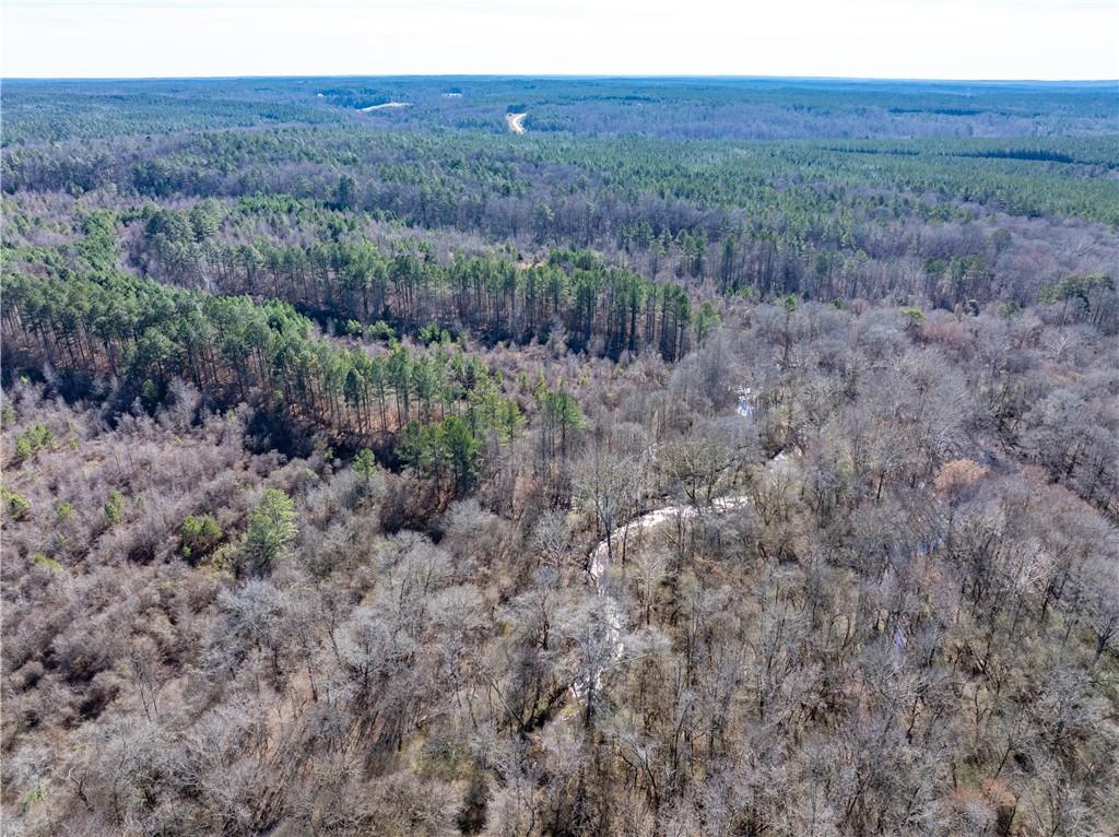 2071 Leslie Mill Road Greensboro, GA 30642 - Photo 10 of 32