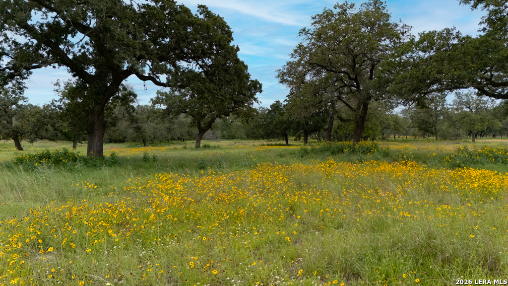 104 Longhorn Road Stockdale, TX 78160 - Photo 35 of 47 a view of a lake with a yard and large trees