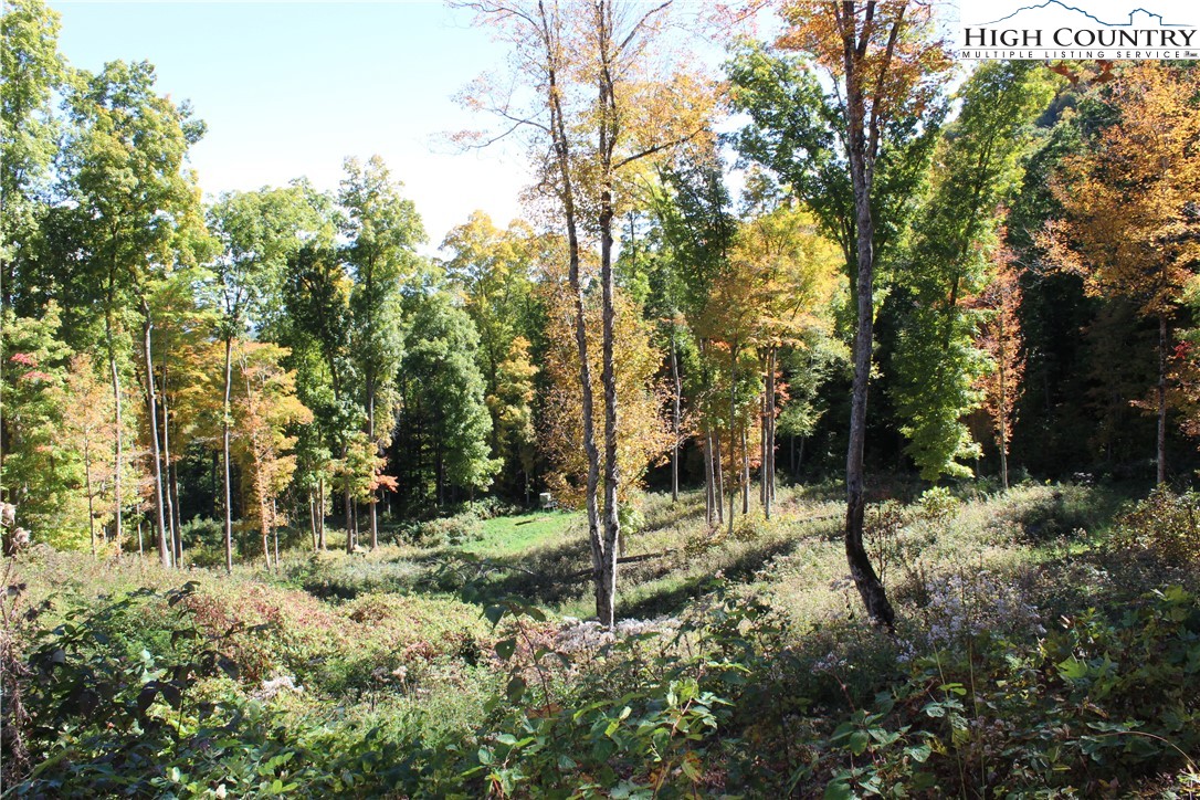 Mcneill Road Lansing, NC 28643 - Photo 9 of 18