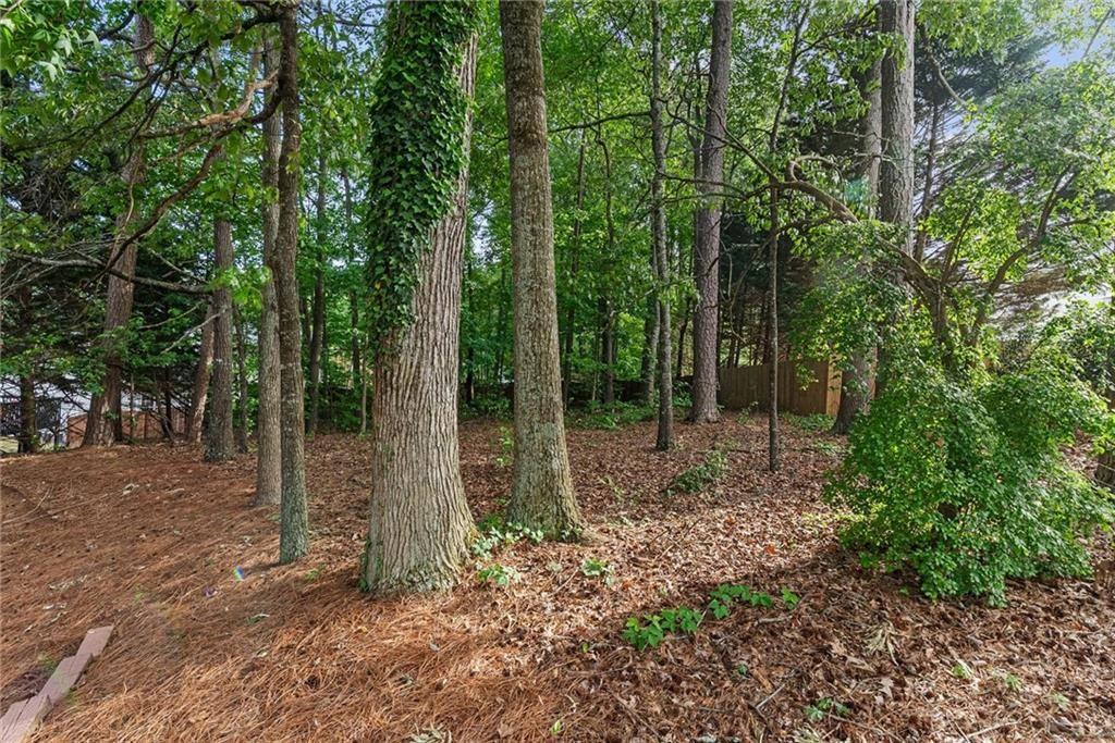 2836 Springrock Way Lawrenceville, GA 30043 - Photo 38 of 50