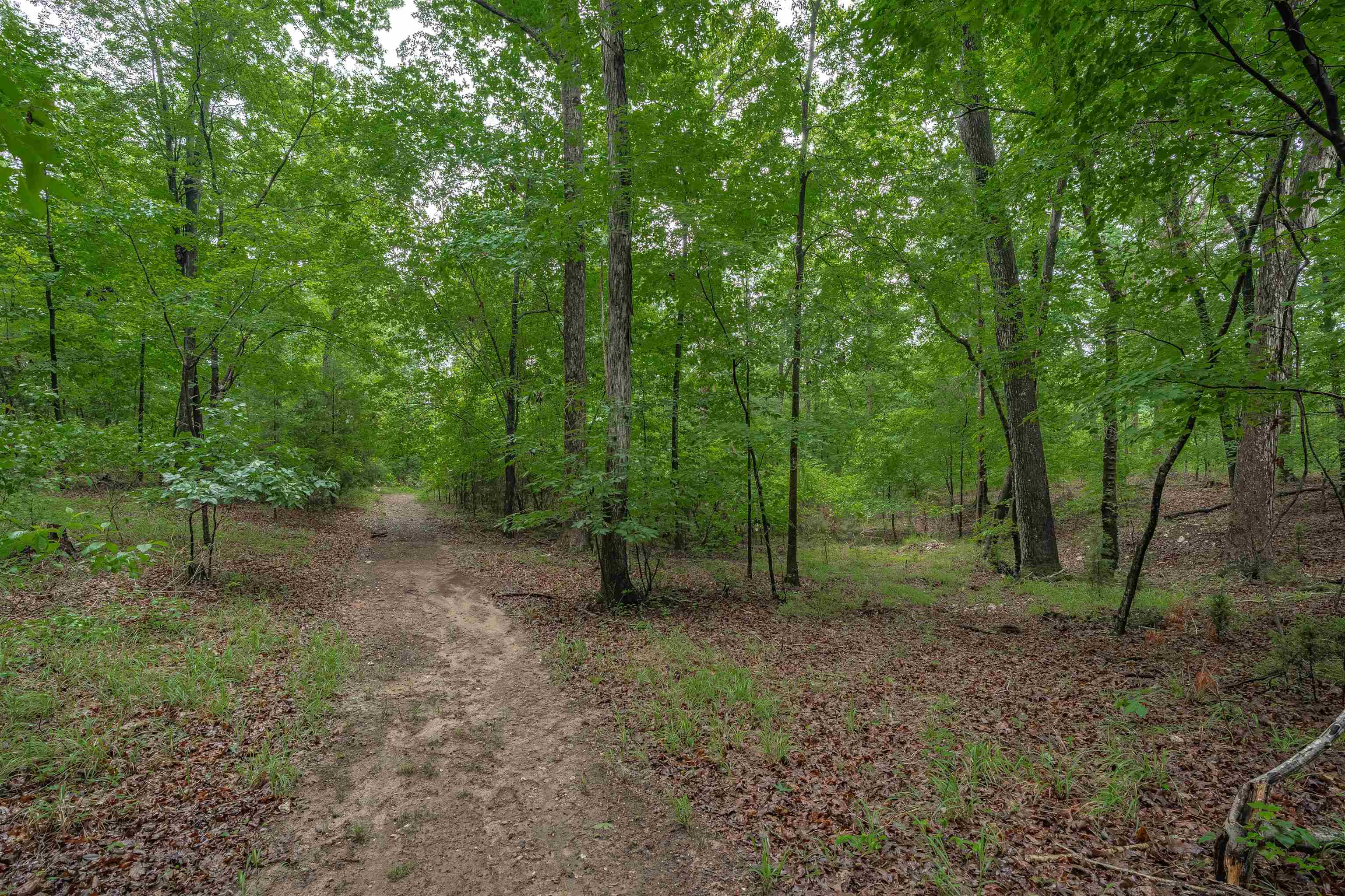 565 Portia Road Blythewood, SC 29016 - Photo 58 of 70