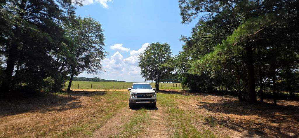 3.14-acres Corbin Road Newton, AL 36352 - Photo 25 of 31 Gallery Image 25