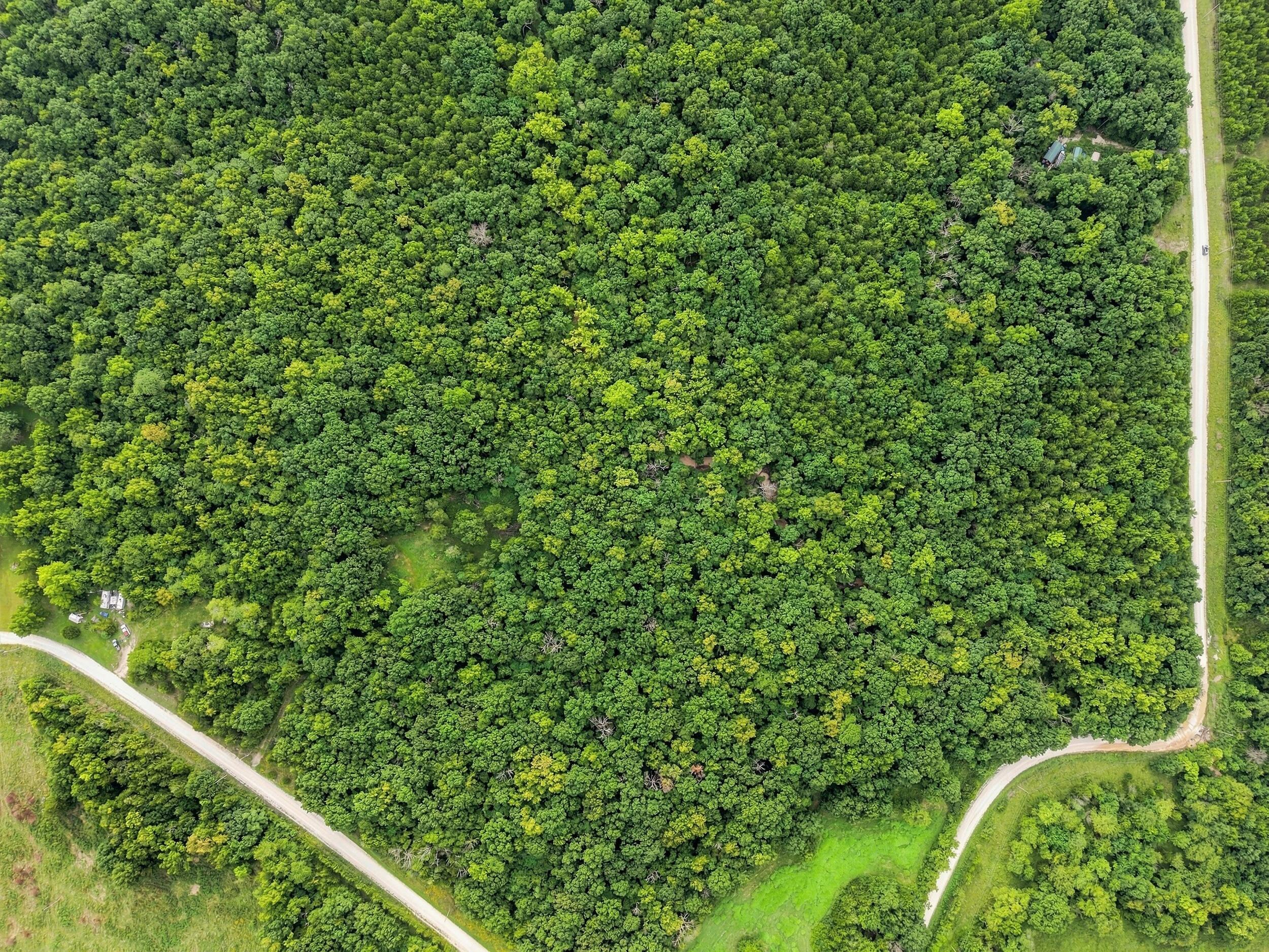 3478 South 216th Road Half Way, MO 65663 - Photo 6 of 10 dji_fly_20260730_211812_0083_17854231372