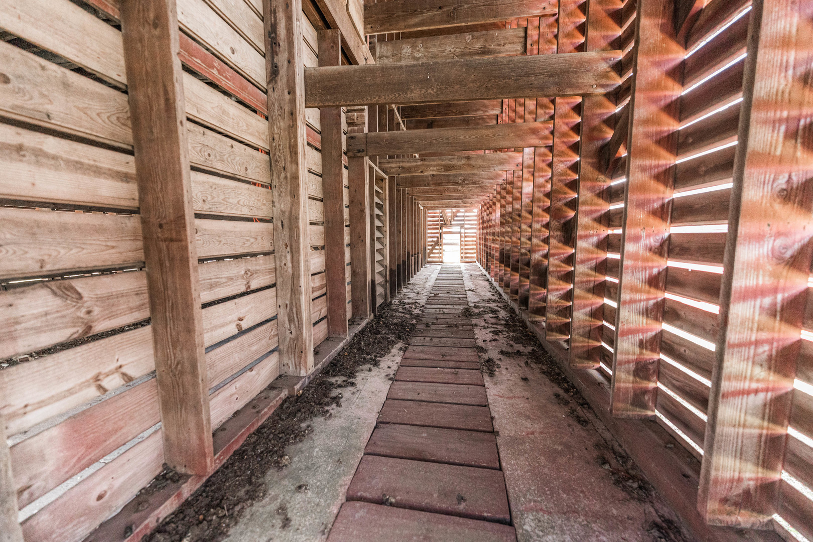 23659 Malta Road Malta, IL 60150 - Photo 85 of 111 a view of a pathway with a building in the background