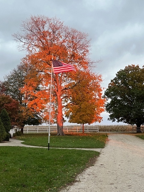 23659 Malta Road Malta, IL 60150 - Photo 89 of 111