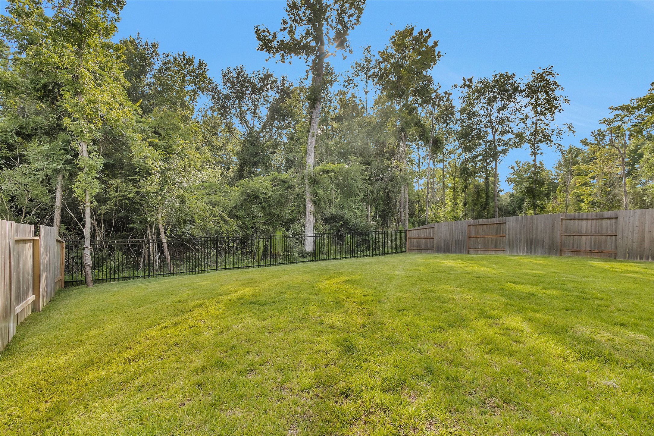 108 Stephens Rdg Lane Montgomery, TX 77316 - Photo 43 of 50 a view of a yard with a trees
