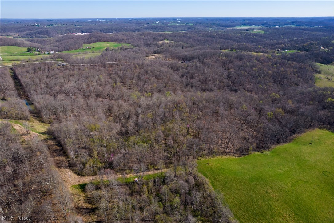 Sealover Hollow Rd Road Philo, OH 43771 - Photo 6 of 36