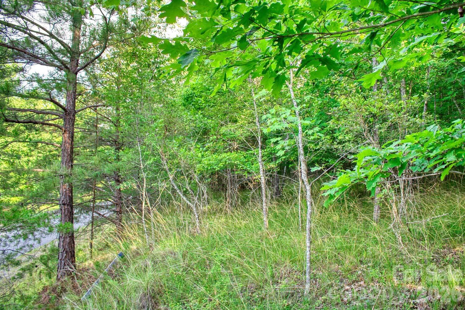 0 Cross Creek Drive, Unit 68 Rutherfordton, NC 28139 - Photo 1 of 3