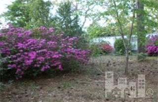 209 Heathcliff Road Wilmington, NC 28409 - Photo 1 of 3 Primary Photo