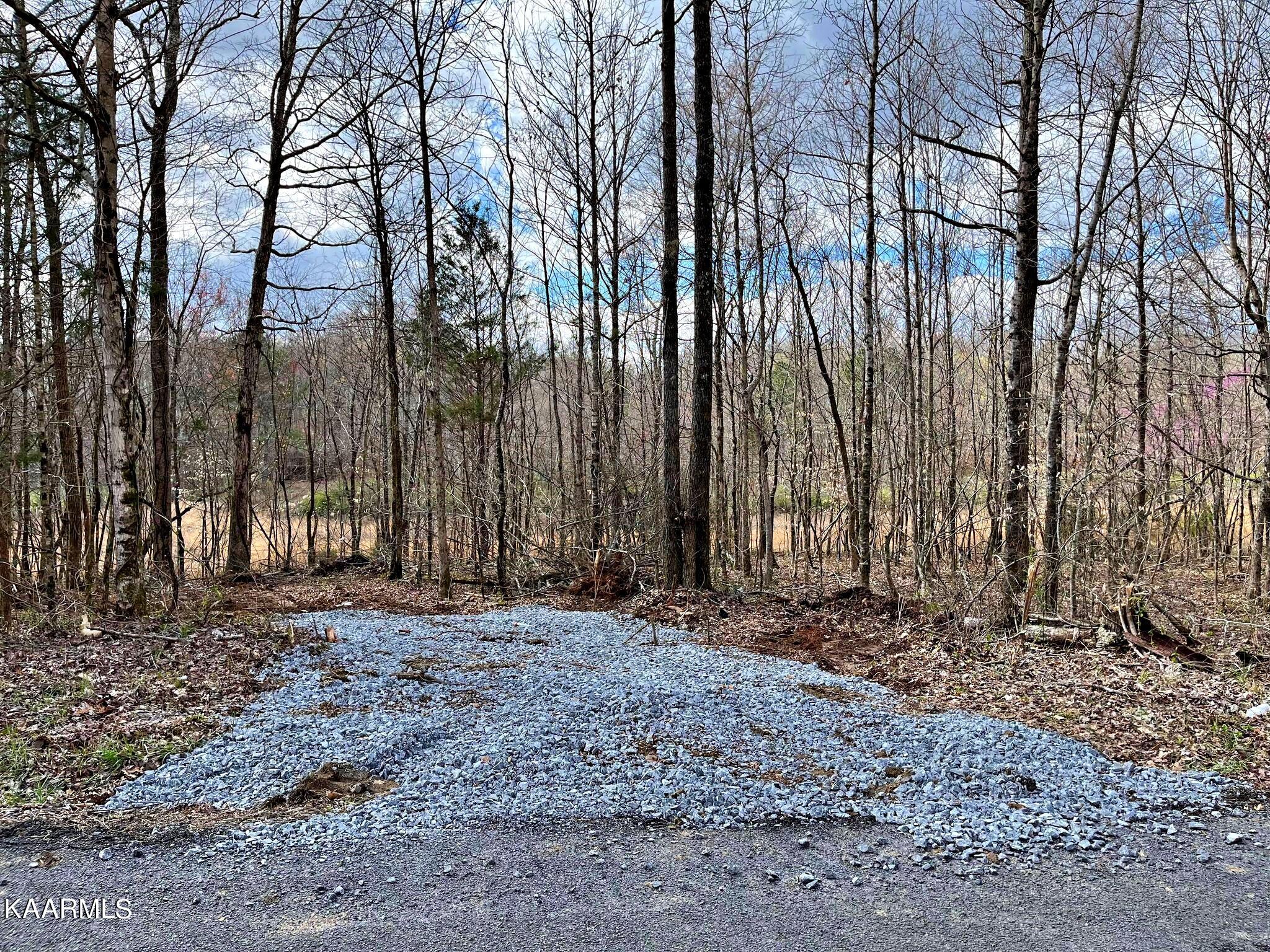 Lot 3 County Road 186 Decatur, TN 37322 - Photo 1 of 9 2