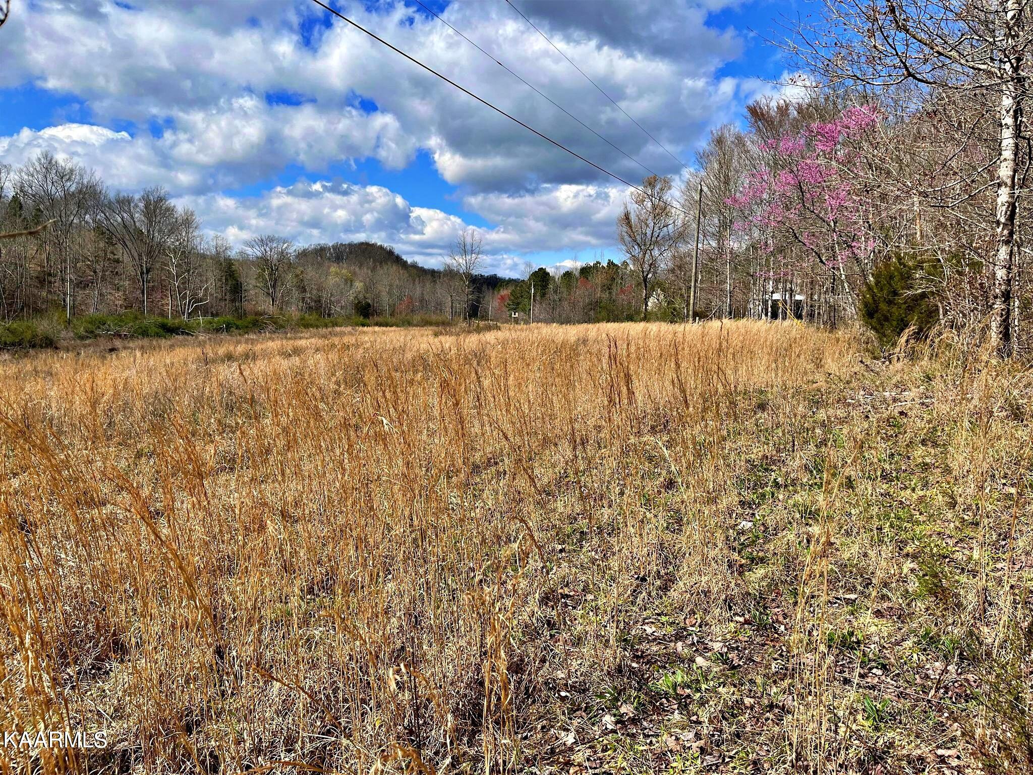 Lot 3 County Road 186 Decatur, TN 37322 - Photo 4 of 9 335119998_1938025153256165_8662589668589