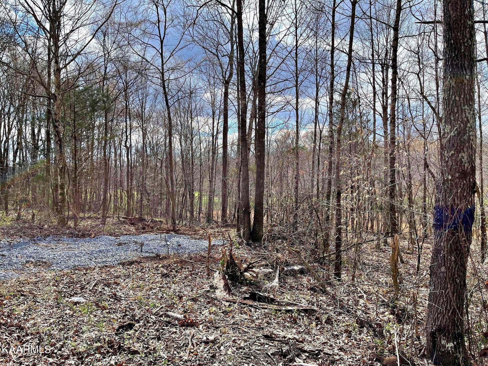 Lot 3 County Road 186 Decatur, TN 37322 - Photo 5 of 9 335149371_735318208339171_72295159410543