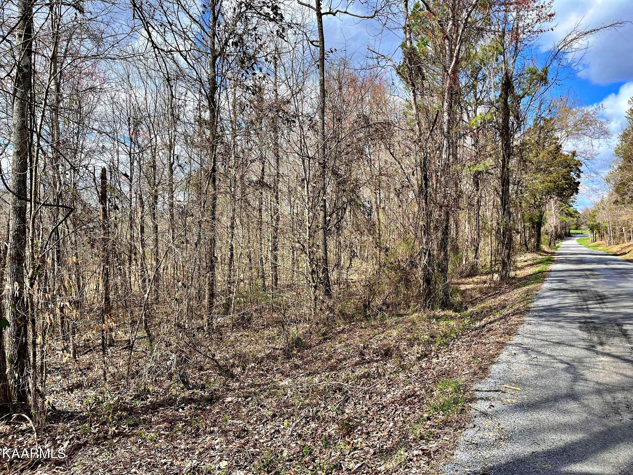 Lot 3 County Road 186 Decatur, TN 37322 - Photo 6 of 9 333565963_512227584210080_35310805683622