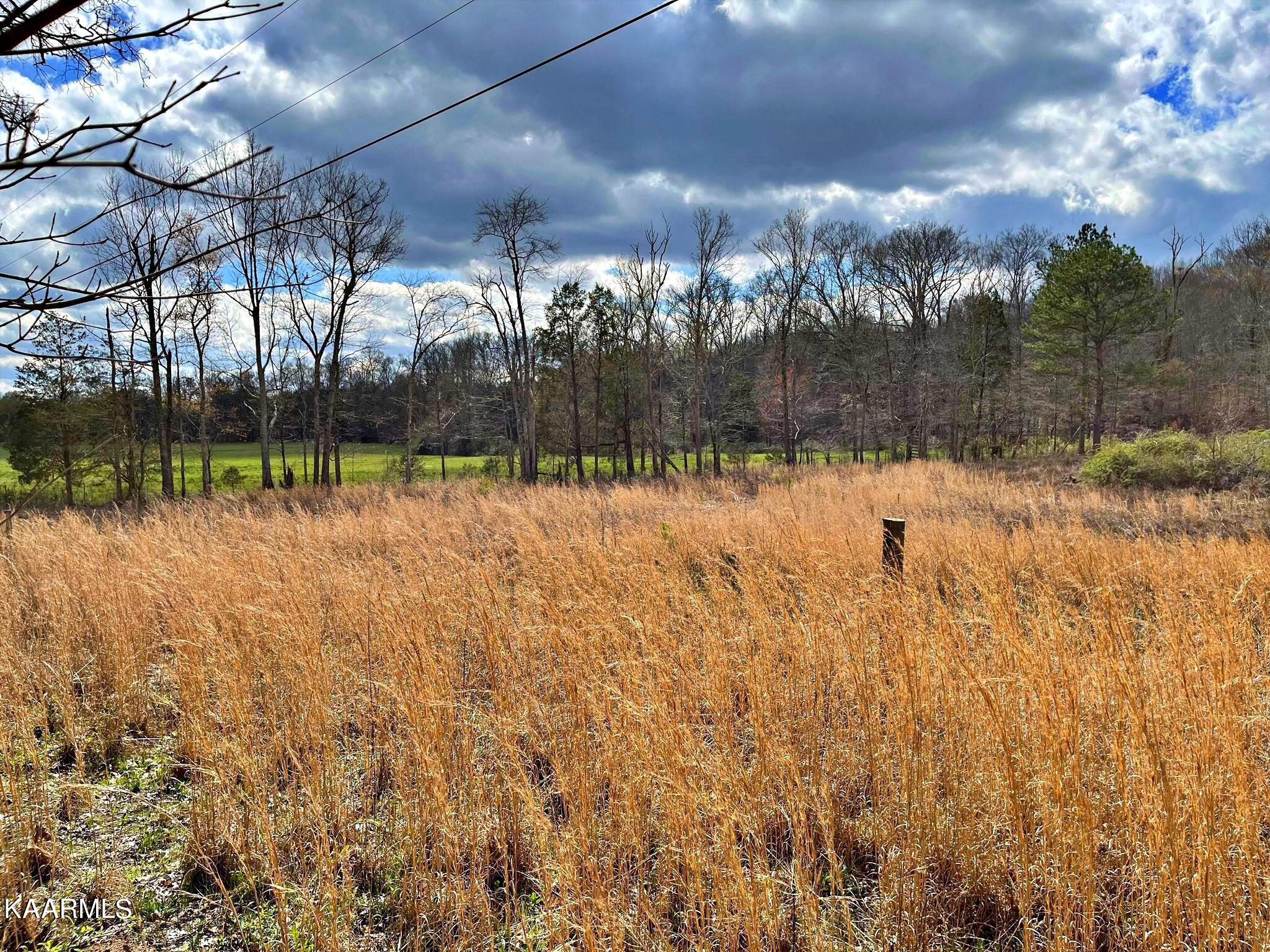 Lot 3 County Road 186 Decatur, TN 37322 - Photo 8 of 9 335132983_750843613350580_29912180733465