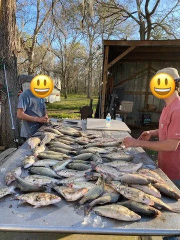 $119,900 | 8573 Private Road 1235, Centerville, TX 75833