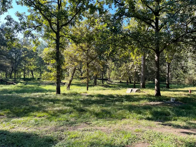 a view of yard with trees