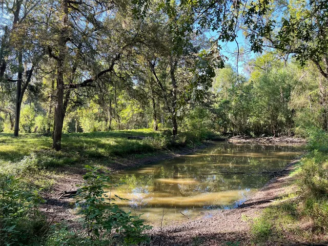 a view of a lake with trees
